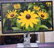 Dell P2414H 24-Inch Framed Monitor - 1