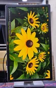 Dell P2414H 24-Inch Framed Monitor - 3