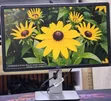 Dell P2414H 24-Inch Framed Monitor - 4