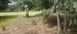 Prime Commercial Land for Sale - Diani Markuz - 1
