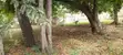 Prime Commercial Land for Sale - Diani Markuz - 3