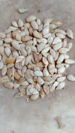 Pumpkin Seeds Wholesale (per kg)