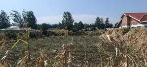 1/4 Acre Plot for Sale - Kabarak Rafiki Center, Nakuru
