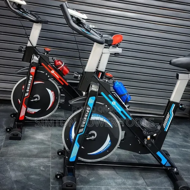 EUROMAX Premium Indoor Spin Bike - 1