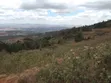 Mua Hills 7.5 Acres Land for Sale - 1
