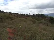 Mua Hills 7.5 Acres Land for Sale - 2