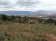 Mua Hills 7.5 Acres Land for Sale - 3