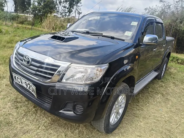 Toyota Hilux Double Cab 2011 - 1