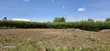 Prime 1/4 Acre Plot for Sale in Chepkanga, Eldoret - 1