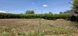 Prime 1/4 Acre Plot for Sale in Chepkanga, Eldoret - 2
