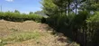 Prime 1/4 Acre Plot for Sale in Chepkanga, Eldoret - 3