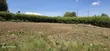 Prime 1/4 Acre Plot for Sale in Chepkanga, Eldoret - 4