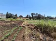 1/2 Acre Plot in Kamuthi Estate, Off Northern Bypass - 1