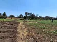 1/2 Acre Plot in Kamuthi Estate, Off Northern Bypass - 3