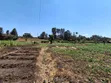 1/2 Acre Plot in Kamuthi Estate, Off Northern Bypass - 5