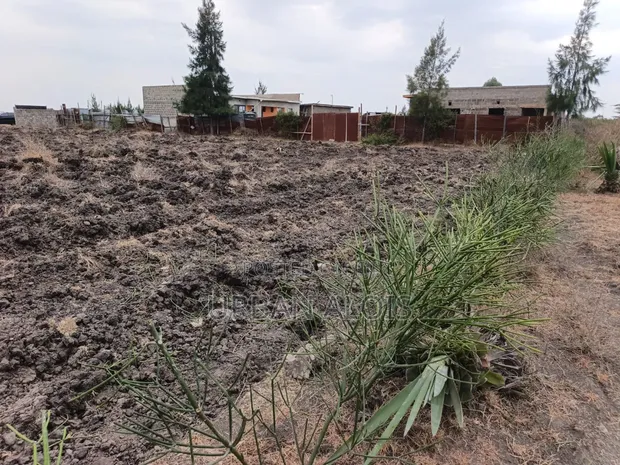 Prime Half Acre Land for Sale in Kamulu - 1
