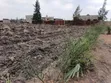 Prime Half Acre Land for Sale in Kamulu - 1
