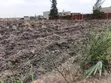 Prime Half Acre Land for Sale in Kamulu - 5