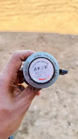 High Pressure Gas Regulator