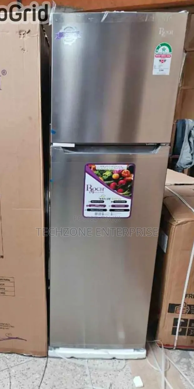 Roch (RFR-325-DT-I) 255L No Frost Double Door Refrigerator, Silver - 1