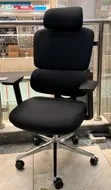 Luxury Orthopedic High-Back Managerial Chair - 1
