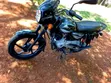 Bajaj Boxer 2025 Black - 2