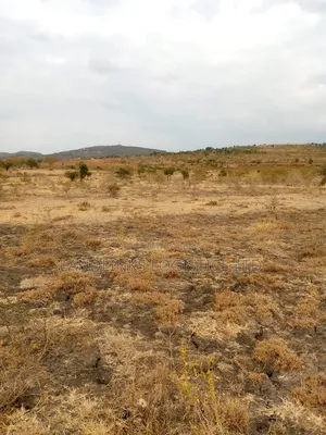 100 Acres Commercial Land on Mombasa Road (Maanzoni/Chumvi)