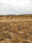 100 Acres Commercial Land on Mombasa Road (Maanzoni/Chumvi) - 1