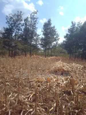 Vitia vya Uuzaji - Rafiki Farm (Eneo la Kabarak)
