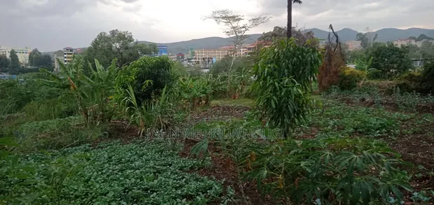 Plots for Sale in Kiserian Town - 1
