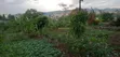 Plots for Sale in Kiserian Town - 1
