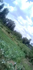 Plots for Sale in Kiserian Town - 2