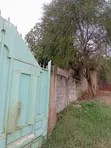 Furnished 5-Bedroom Farm House for Sale in Gatundu North - 5