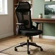 Orthopedic Office Chair - Brand New - 2