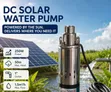 Premier DC Solar Water Pump - 1