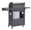 4+1 Burner Stainless Steel BBQ Gas Grill - 4