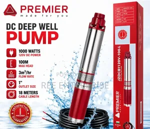 Premier 1000W DC Deep Well Pump