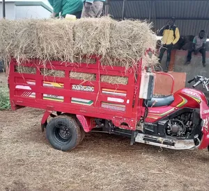 Sonlink SL200ZH-SC 2023 Red Three-Wheeler