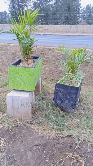 Concrete Planter Troughs - Brand New