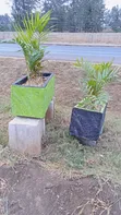Concrete Planter Troughs - Brand New - 1