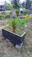Concrete Planter Troughs - Brand New - 4
