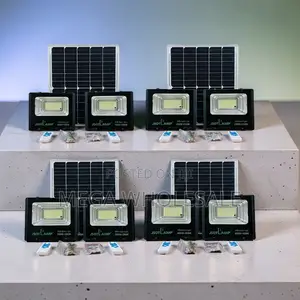 2-in-1 Double Solar Floodlights (100W-300W)