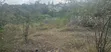 Kashani Plots - 40x80ft Residential Land - 4