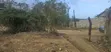 Kashani Plots - 40x80ft Residential Land - 5