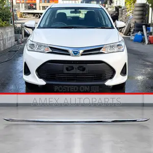 Front Bumper Moulding Chrome Toyota Axio Fielder NKE165 2018+