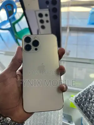 Apple iPhone 13 Pro Max 256GB Dhahabu