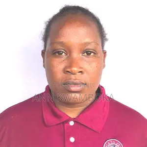 Sales Agent CV - Ann Kwamboka