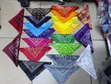 Bandanas za Kawaida za Unisex - 1