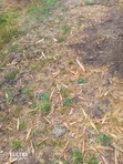 Mlolongo Phase 1 & 2 Plots for Apartments (Impara & Biashara St) - 1
