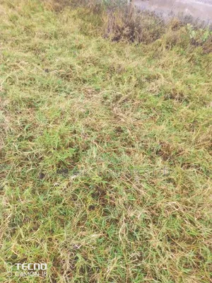 Mlolongo Phase 1 & 2 Plots for Apartments (Impara & Biashara St)